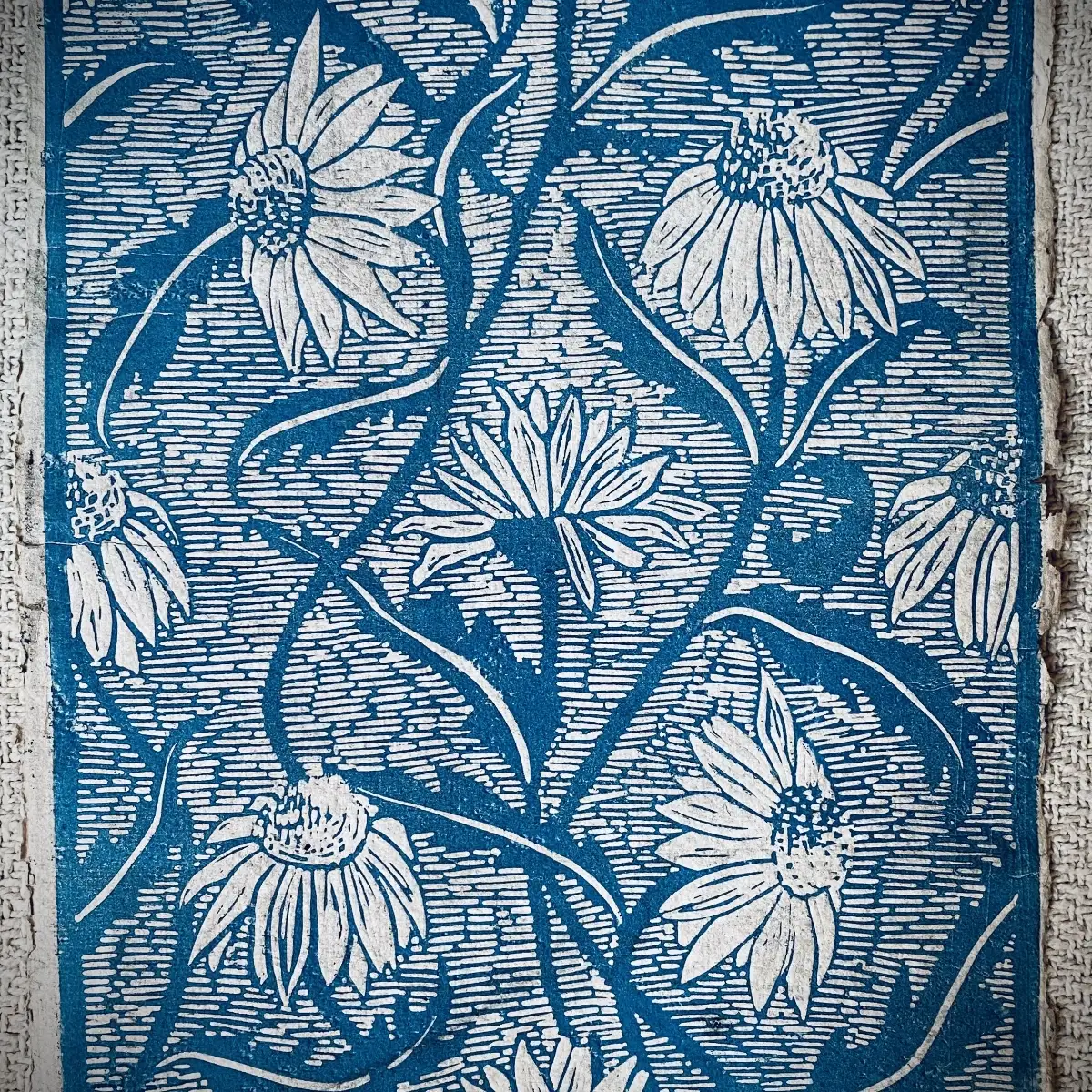 Papier dominoté bleu motif "Marguerite" format A4, une couleur